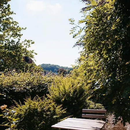 Kurpark Am Rothaarsteig Brilon