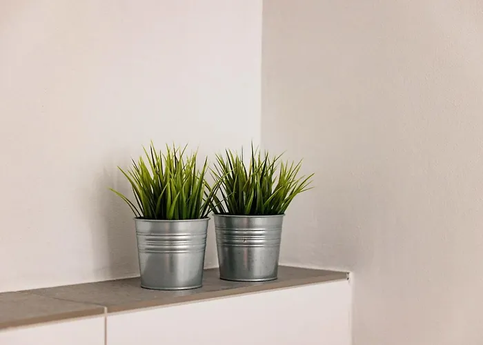 Appartement Kurpark Am Rothaarsteig Brilon